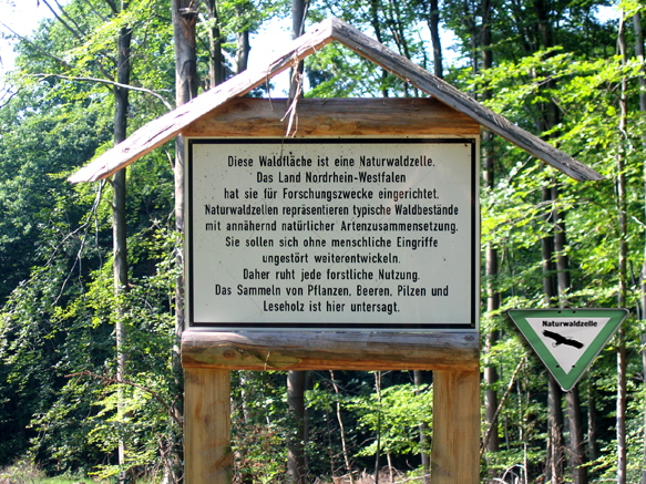 n_19_kö_J56_inf-wzelle.jpg